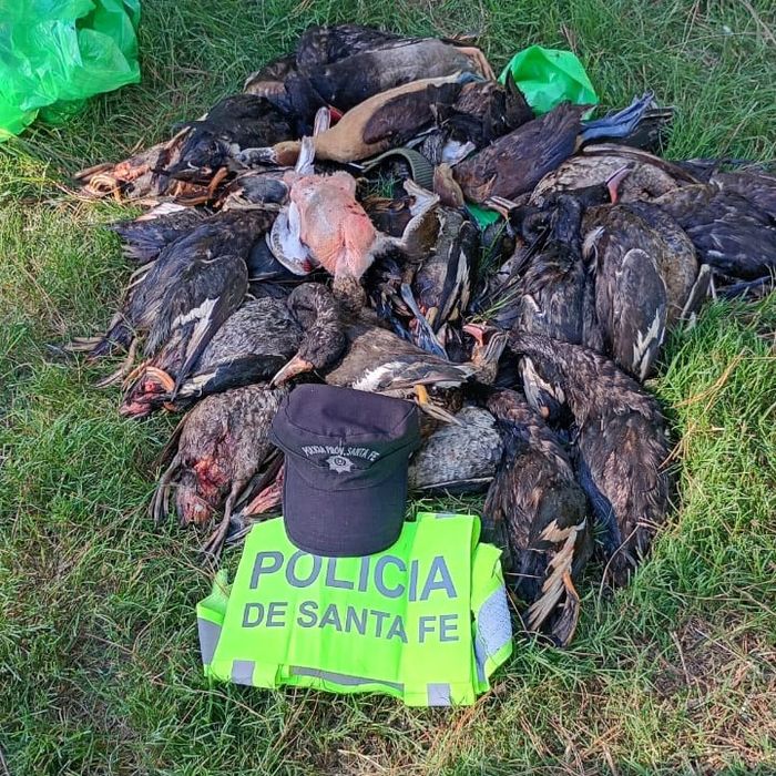 Guardia Provincial - 1