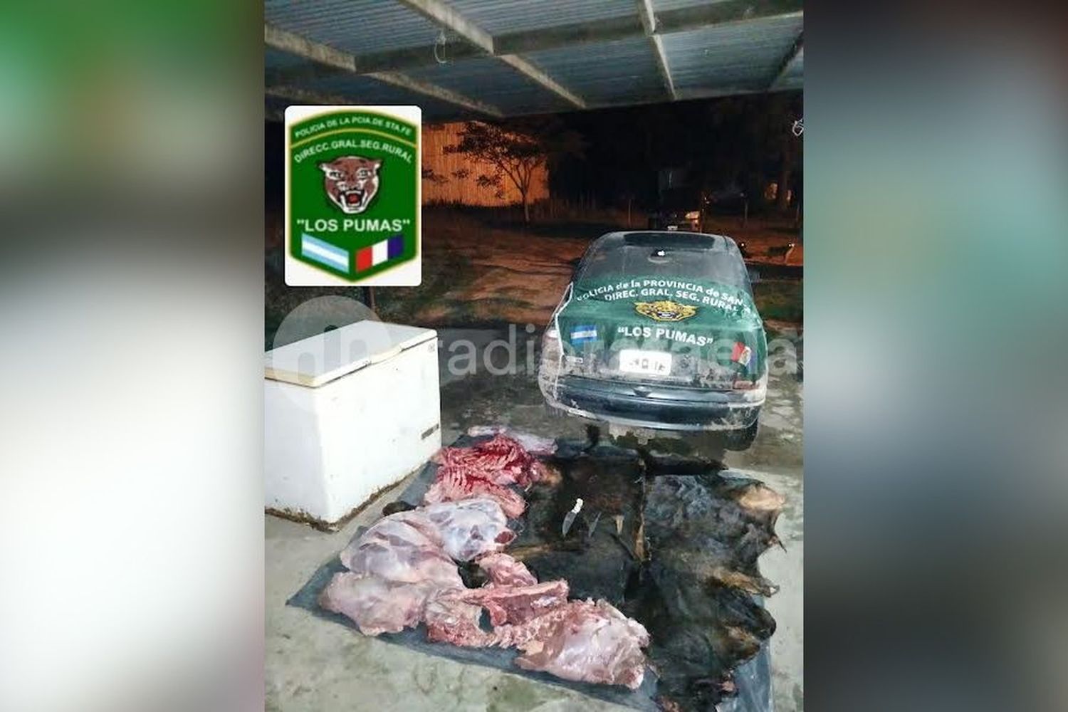 “Los Pumas” hallaron rastros de sangre y viseras en zona rural durante una recorrida