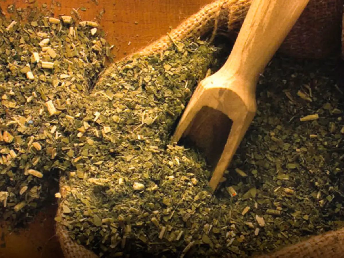 El gobierno reguló la yerba  para asegurar la "buena calidad"