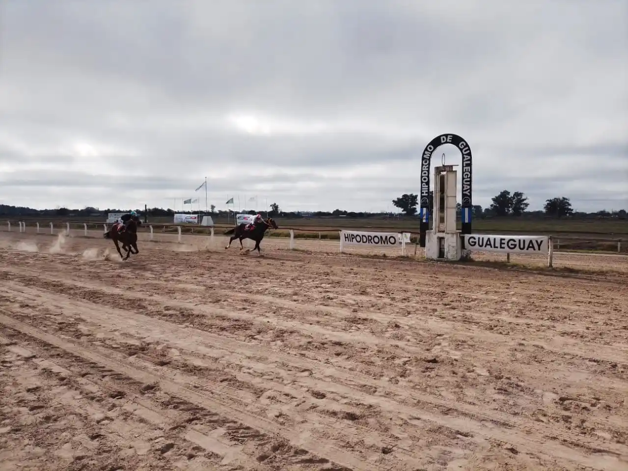 Turf: “El Negro Luis” brilló en el Gran Premio 25 de Mayo