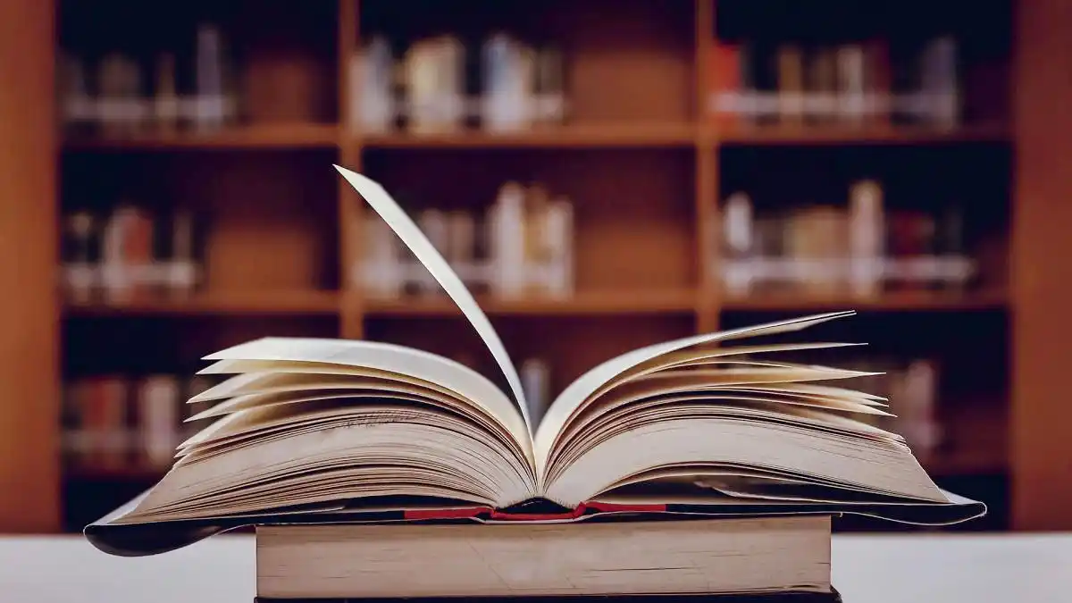 Rastrean el origen de frases como "agarrate Catalina" o "tirar manteca al techo"