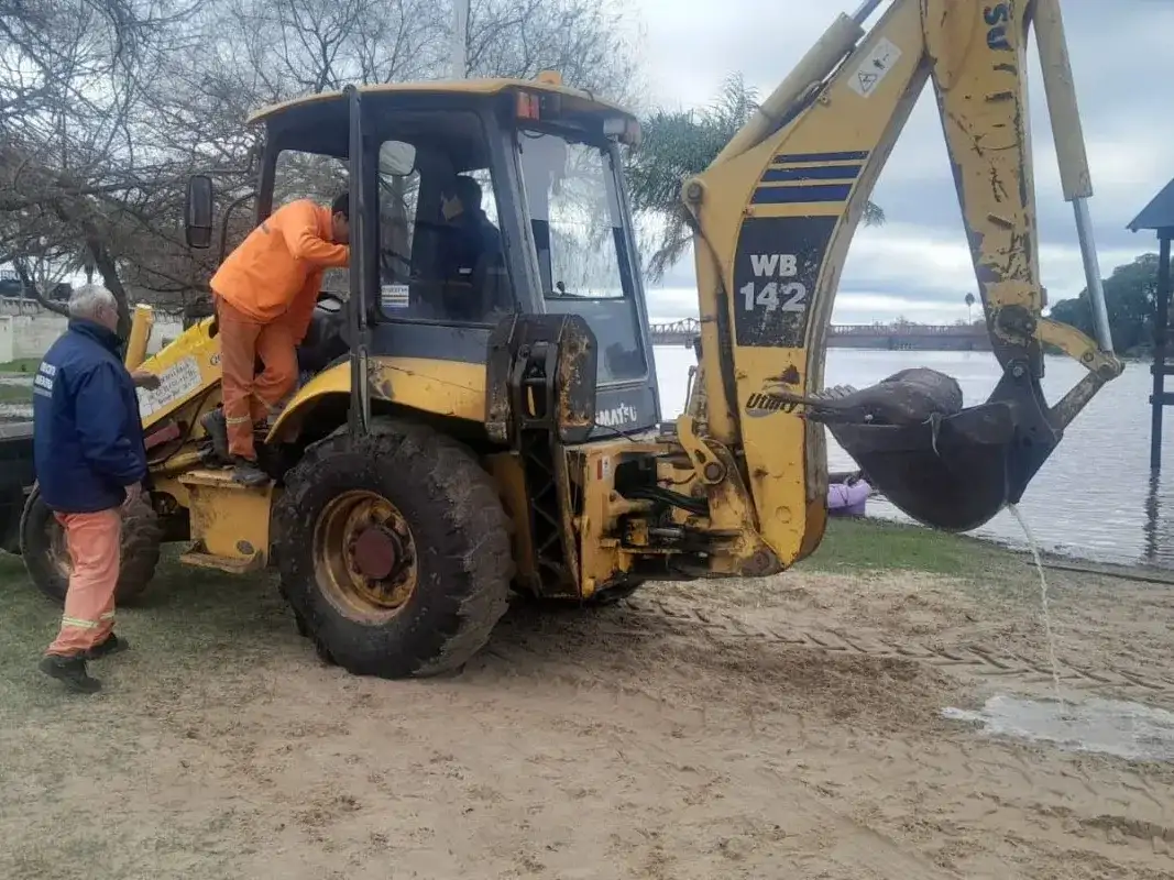 Apareció otro animal muerto en el Balneario Municipal: esta vez se trató de un ciervo