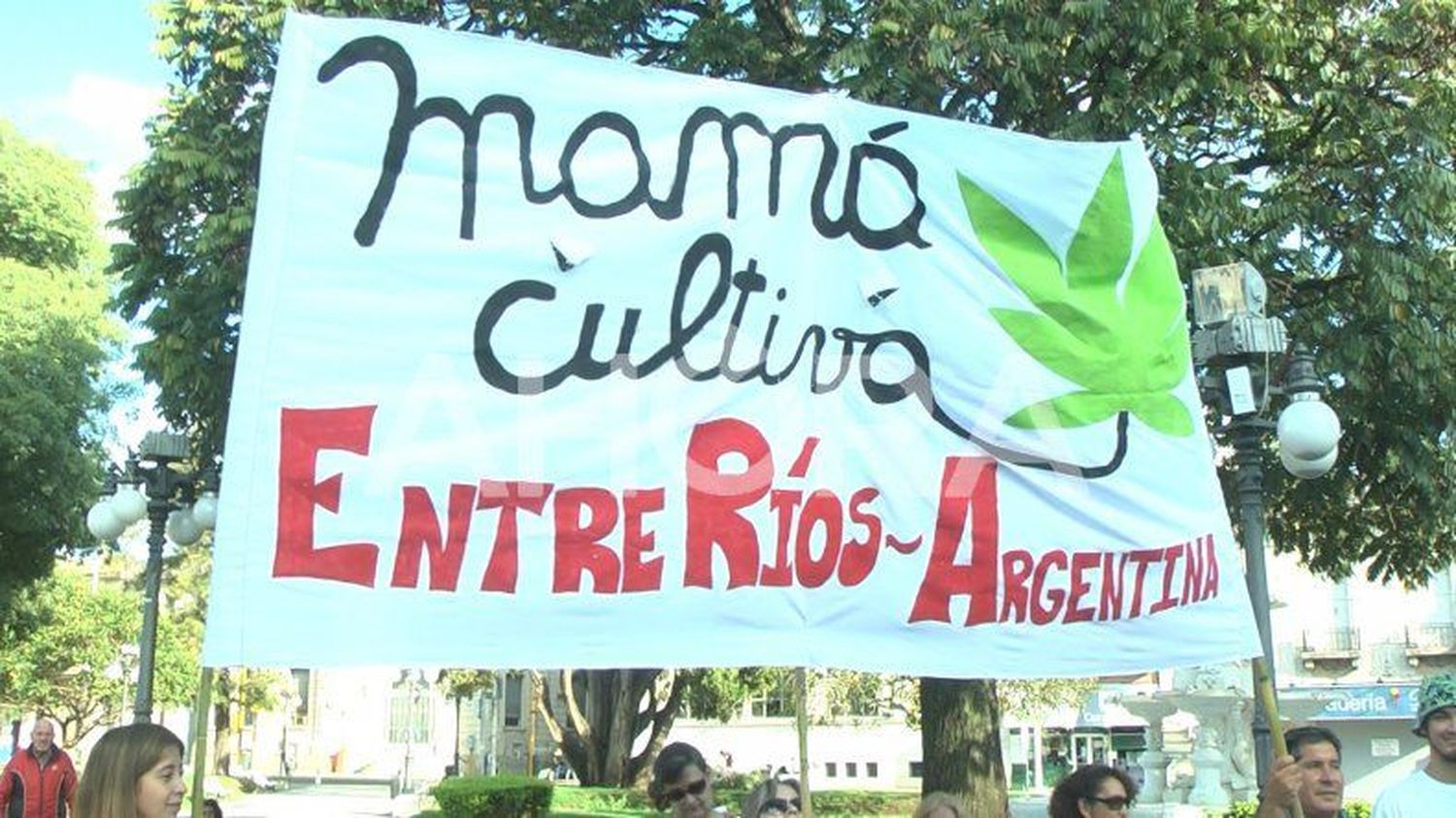 Mamá Cultiva Entre Ríos celebró la legalización del autocultivo de cannabis