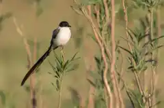 Un paraíso natural en "Tierra de poetas"