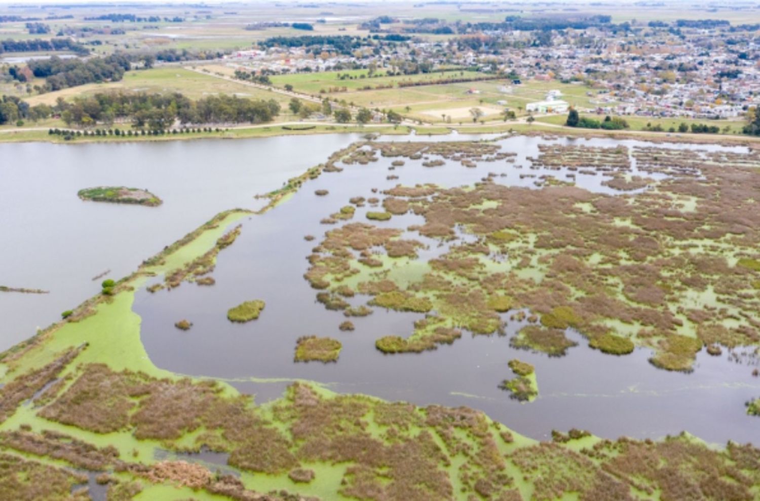 Castelli: se licitaron obras de limpieza para la laguna La Rosita