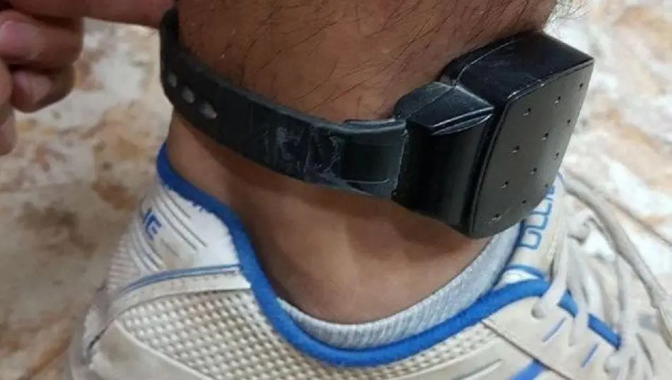 Insólito: un preso dijo que el perro le comió la tobillera electrónica, la rompió y se fugó
