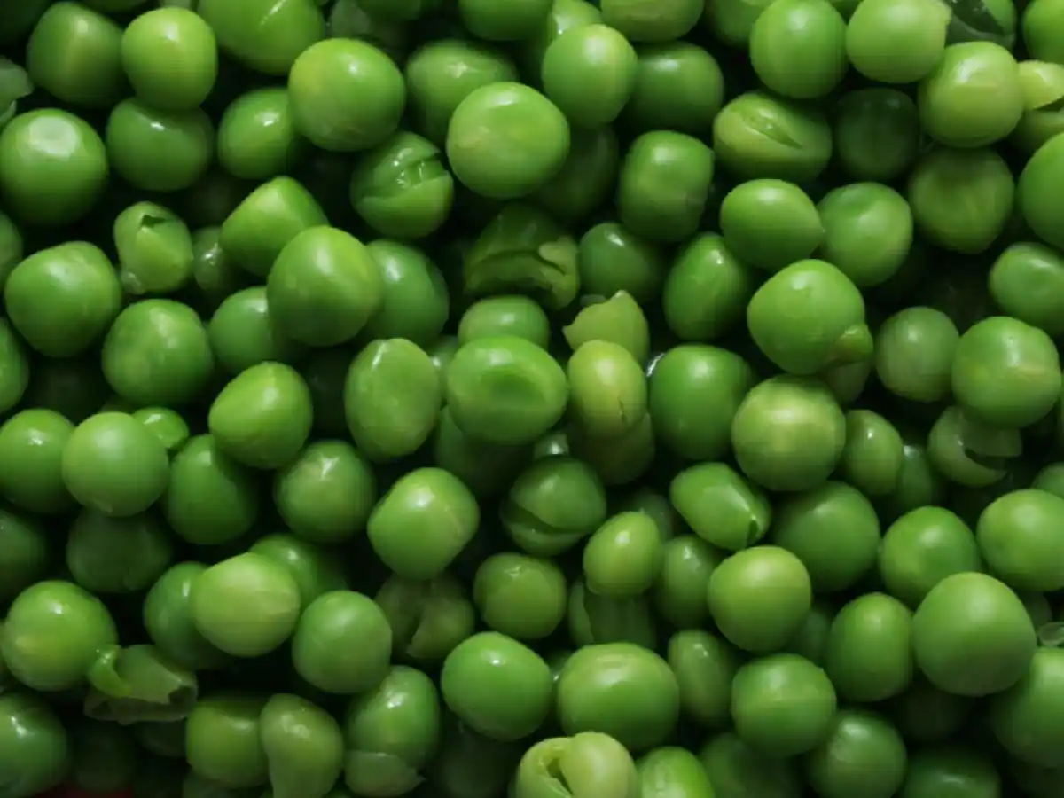 Tras siete años de negociaciones, Argentina exportará arvejas a China