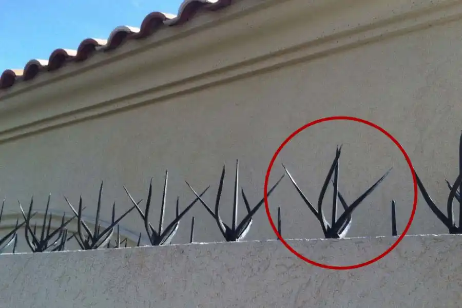 ¿Qué quiso hacer? Terminó con una púa antivandálica de tapial incrustada en una pierna