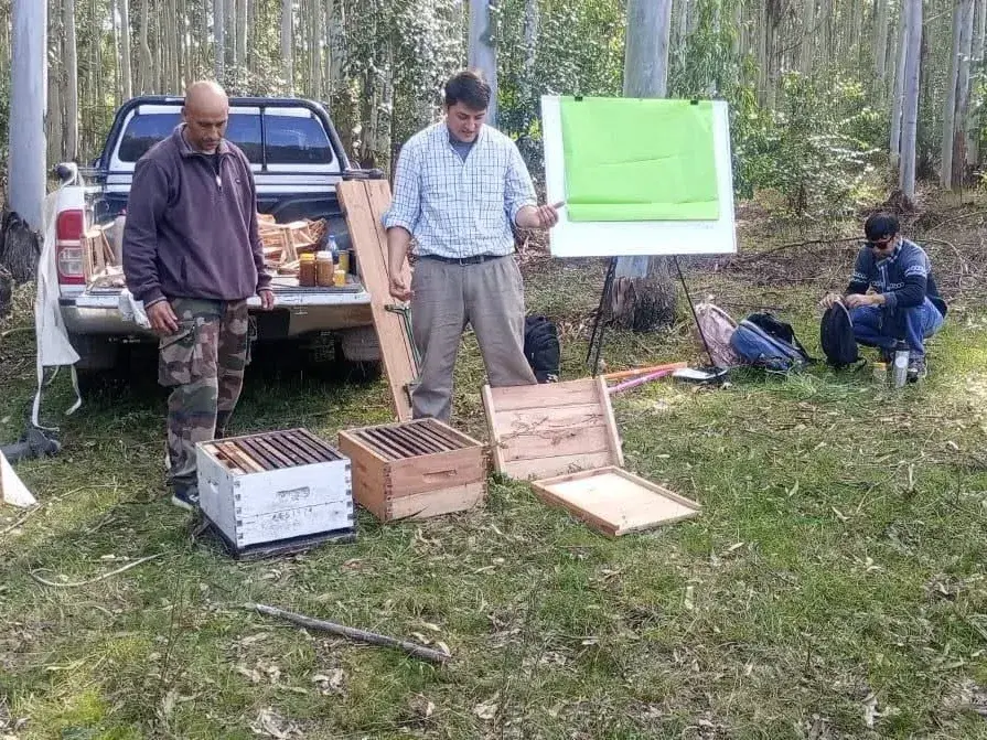 Aprendizaje y producción apícola junto a graduados de Administración Rural