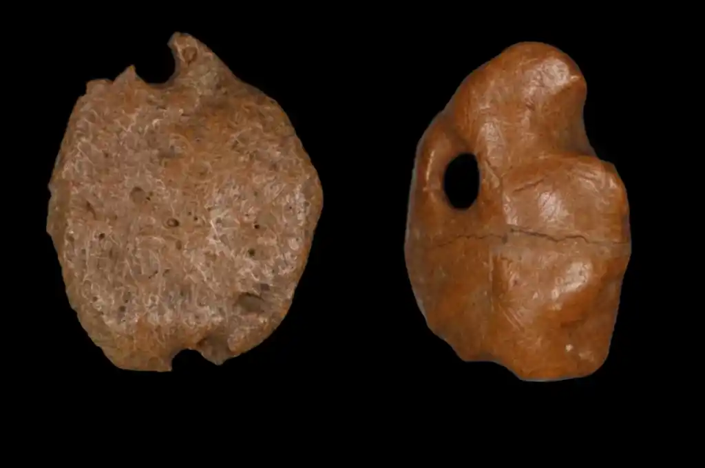 Descubrimiento en Brasil