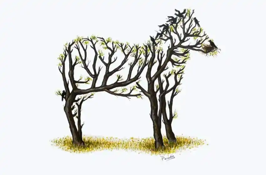 Una nueva imagen se viralizó en Whatsapp: qué significa la misteriosa foto