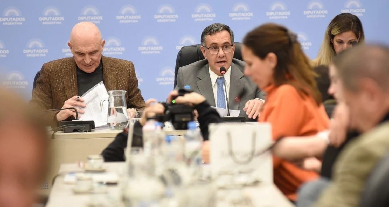 José Luis Espert (LLA) y Alejandro Finocchiaro (PRO), integrantes de las comisiones de Presupuesto y Educación, respectivamente. Foto: Prensa HCDN.