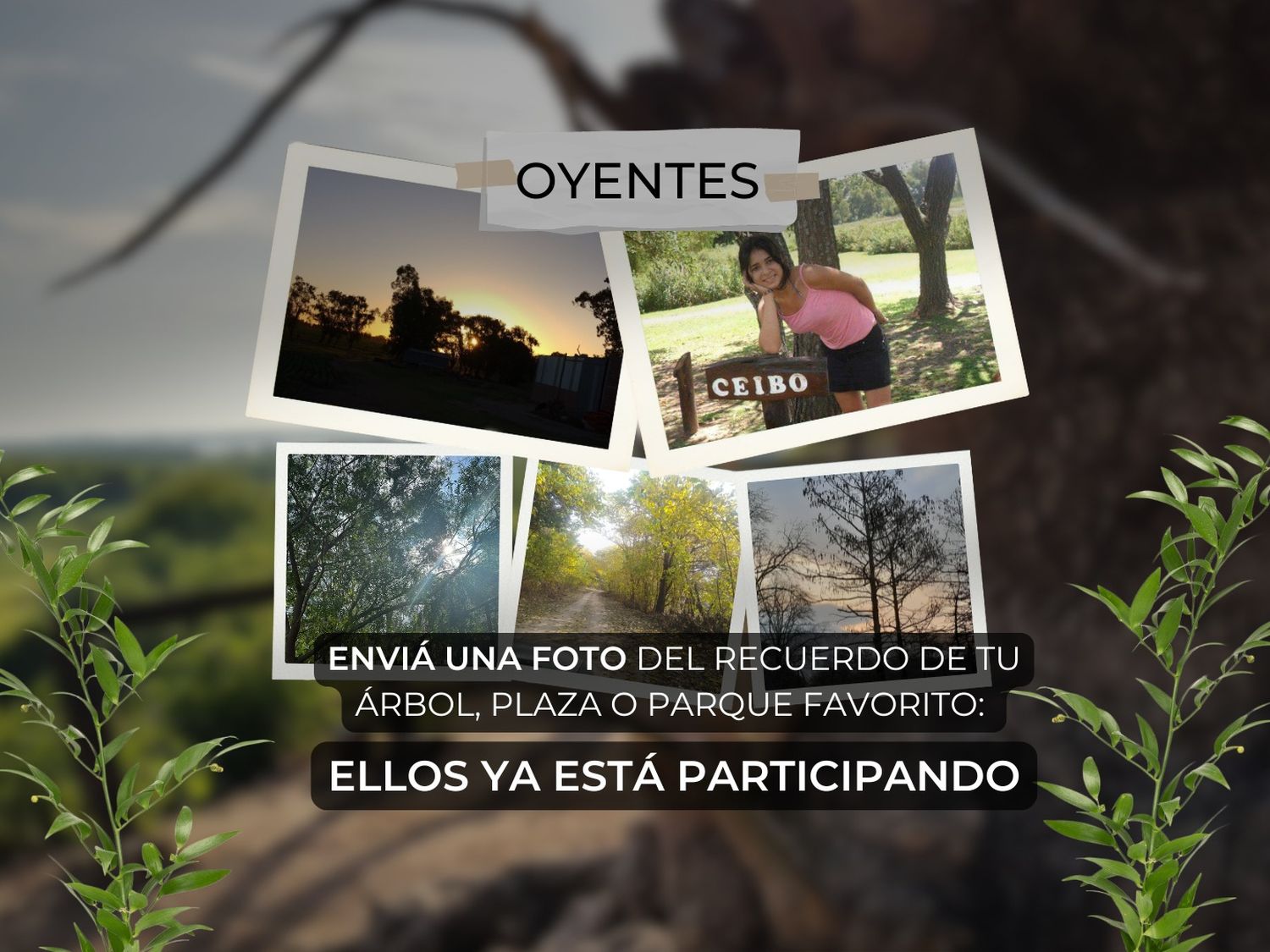 Enviá una foto del recuerdo de tu árbol, plaza o parque favorito: ellos ya están participando