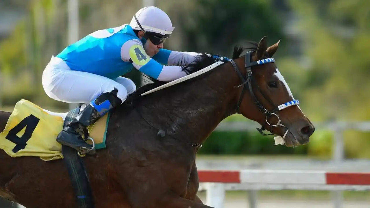 The Great Village visita el Bosque para alzarse con el GP Selección de Potrancas (G1) y consagrarse.