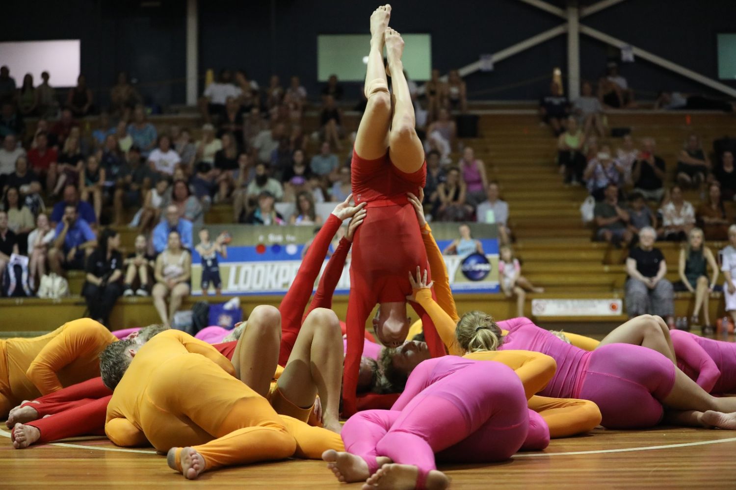 Gimnastas daneses durante una presentación