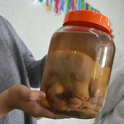 Talleres “Haciendo Ciencia” en el Instituto Leloir