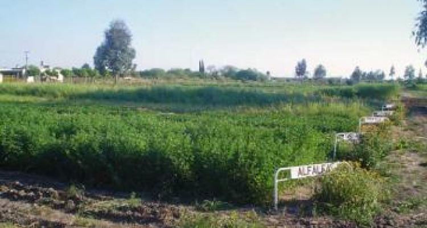 Expo Agropecuaria 2005