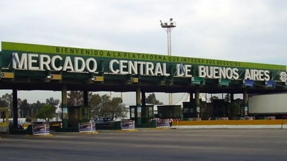 Cooperativas de alimentos sanos y agroecológicos se unieron para lanzar Alta Red