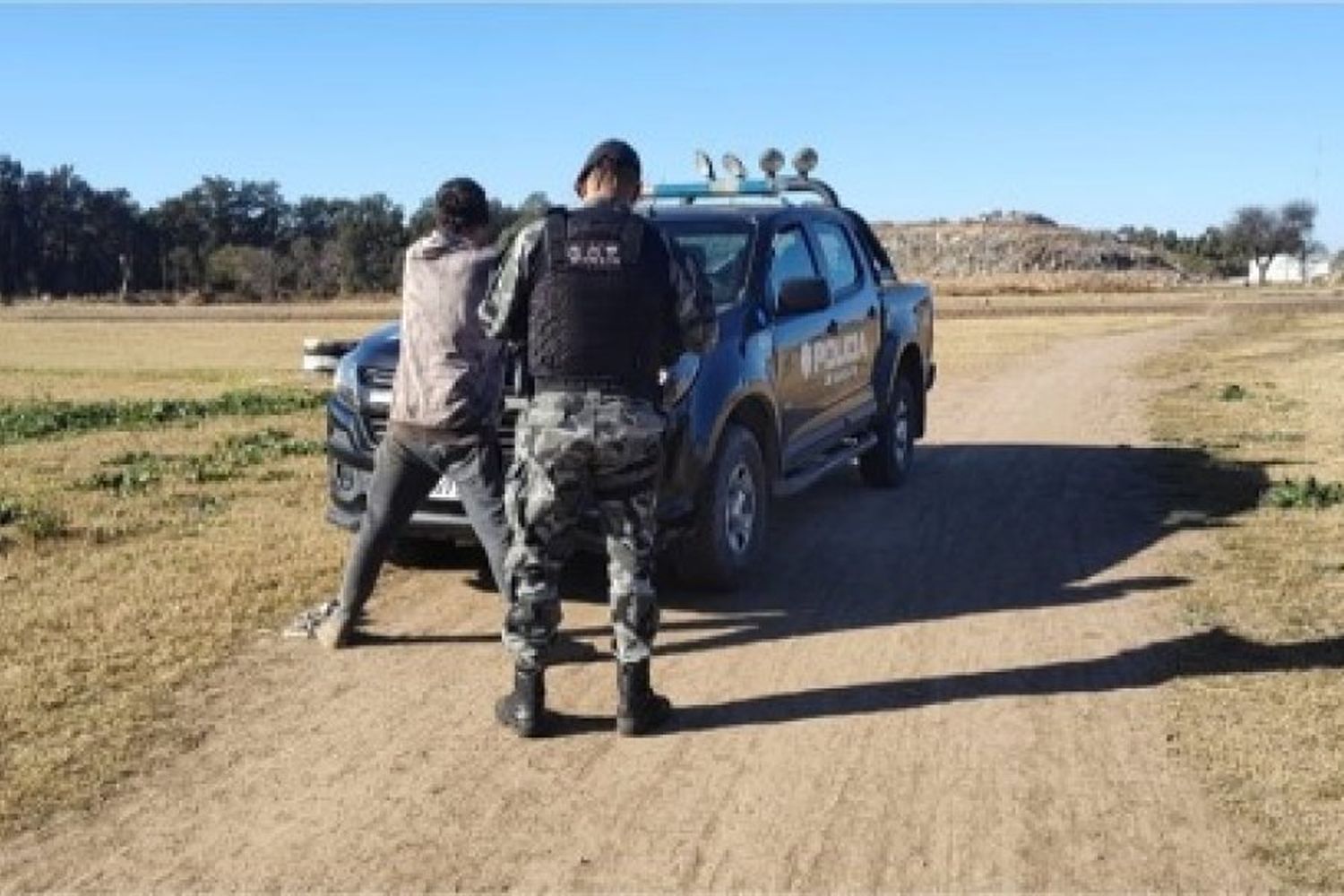 Le robaron un cordero, rastreó al ladrón y fue a buscarlo: acorralado, el delincuente le dio una "piña" en el ojo