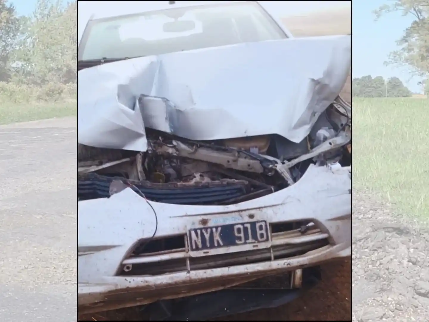 Así quedó el automóvil después de impactar contra un caballo. El conductor dijo que había una tropilla sobre la Ruta 191.