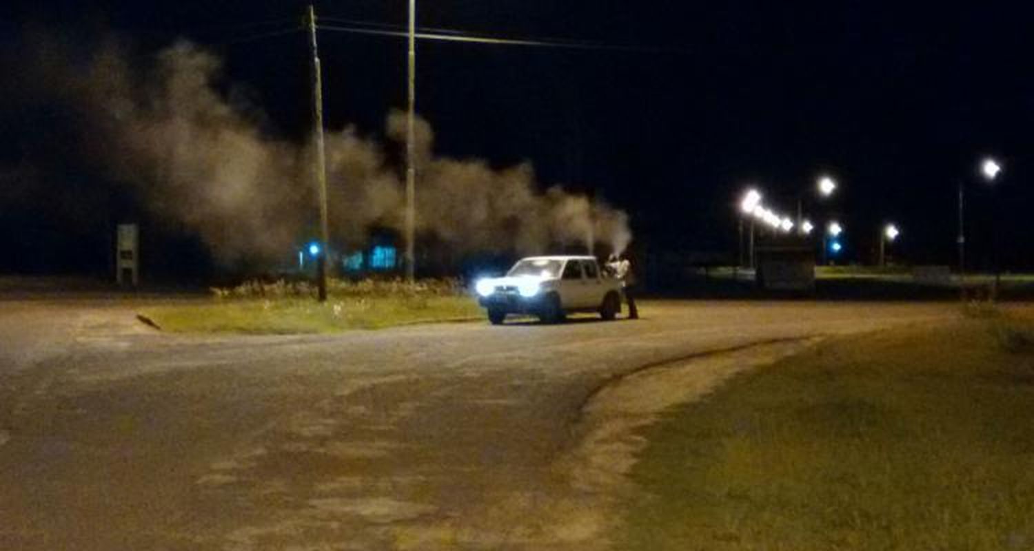 Mosquitos: Fumigación preventiva del dengue afectada por las lluvias