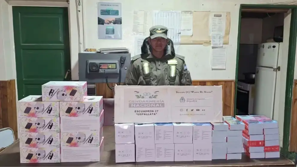 Las autoridades requisaron varios vehículos de patente extranjera que intentaron burlar los controles en Punta de Vacas, Mendoza