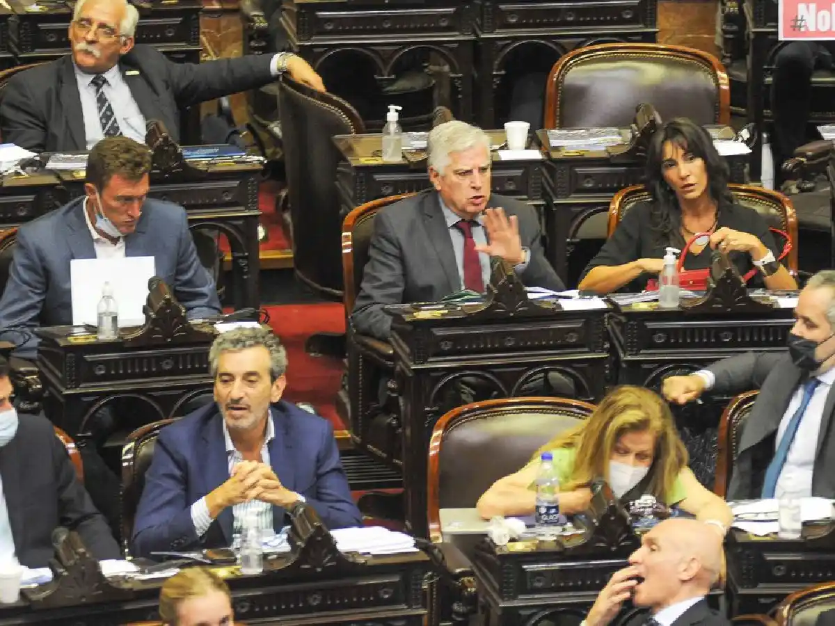 Super miércoles en Diputados: Alquileres, Consejo de la Magistratura y Boleta Única