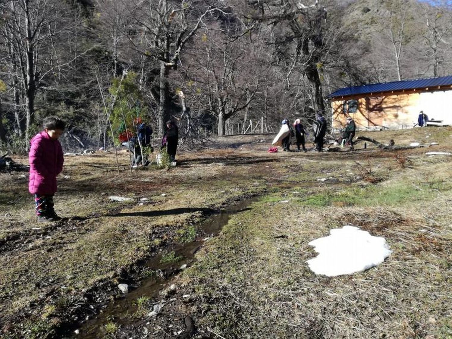 Tierras tomadas por Mapuches en la Patagonia cuestan hasta USD 100 mil la hectárea