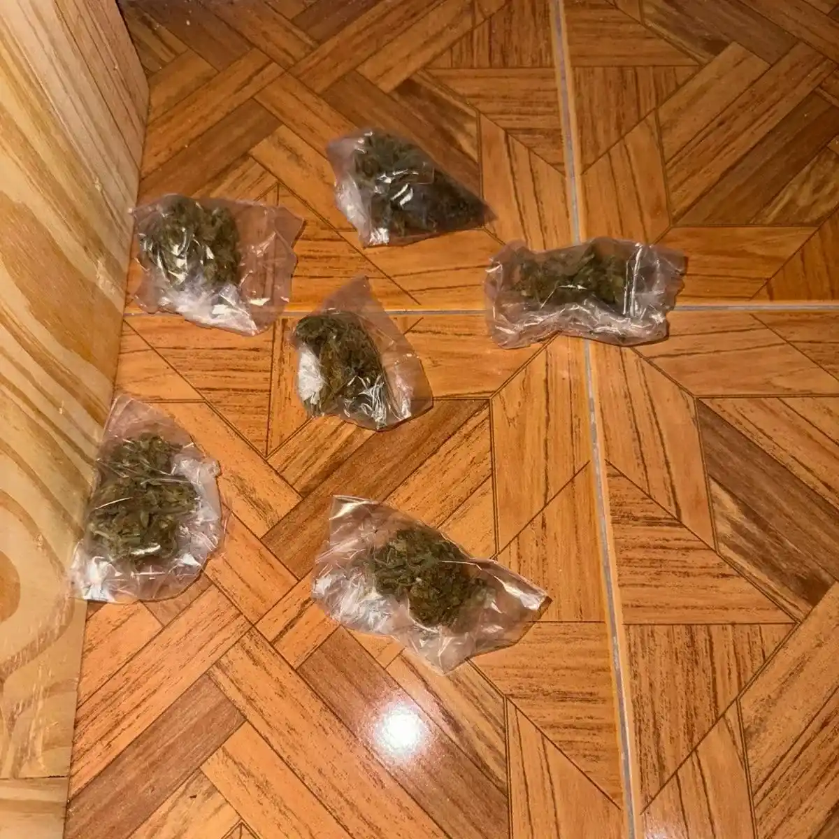 Grow shop 3