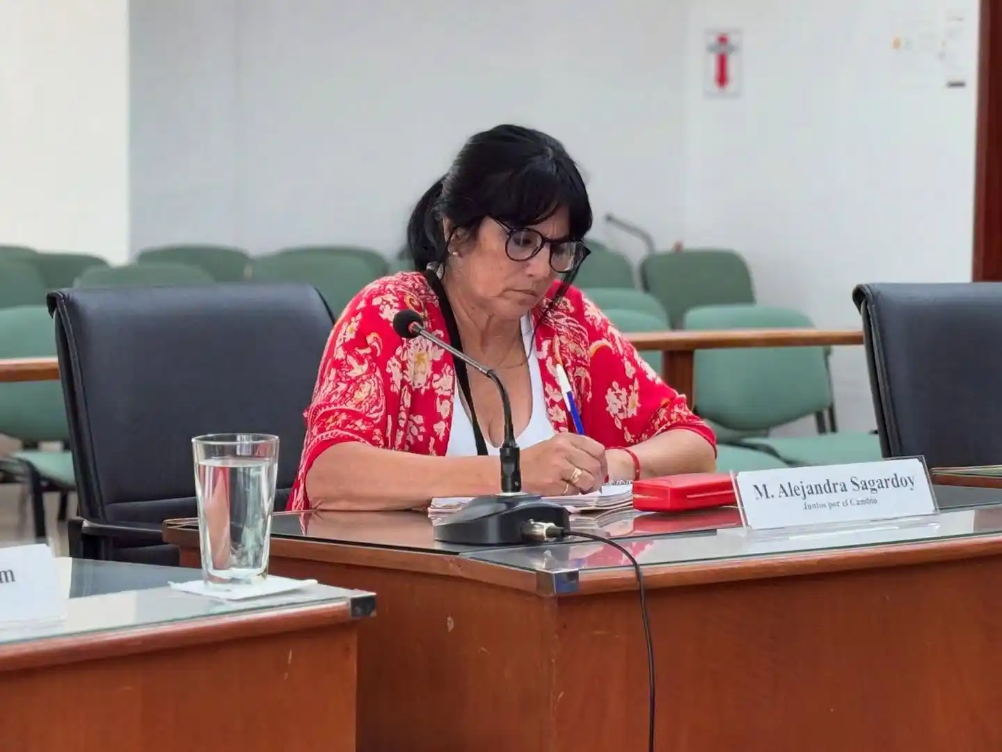 alejandra sagardoy - 2