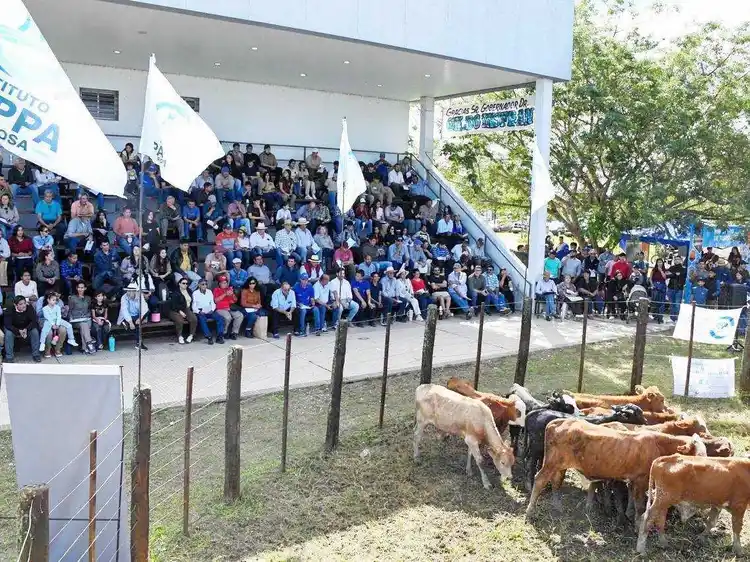 Con total éxito se realizó en Laguna Blanca
el segundo remate de invernada de la provincia
