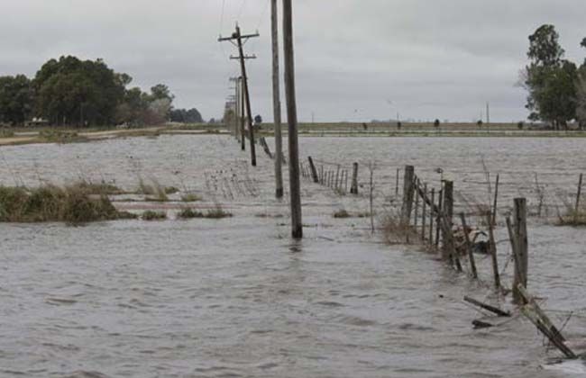 Emergencia y desastre agropecuario para 13 municipios