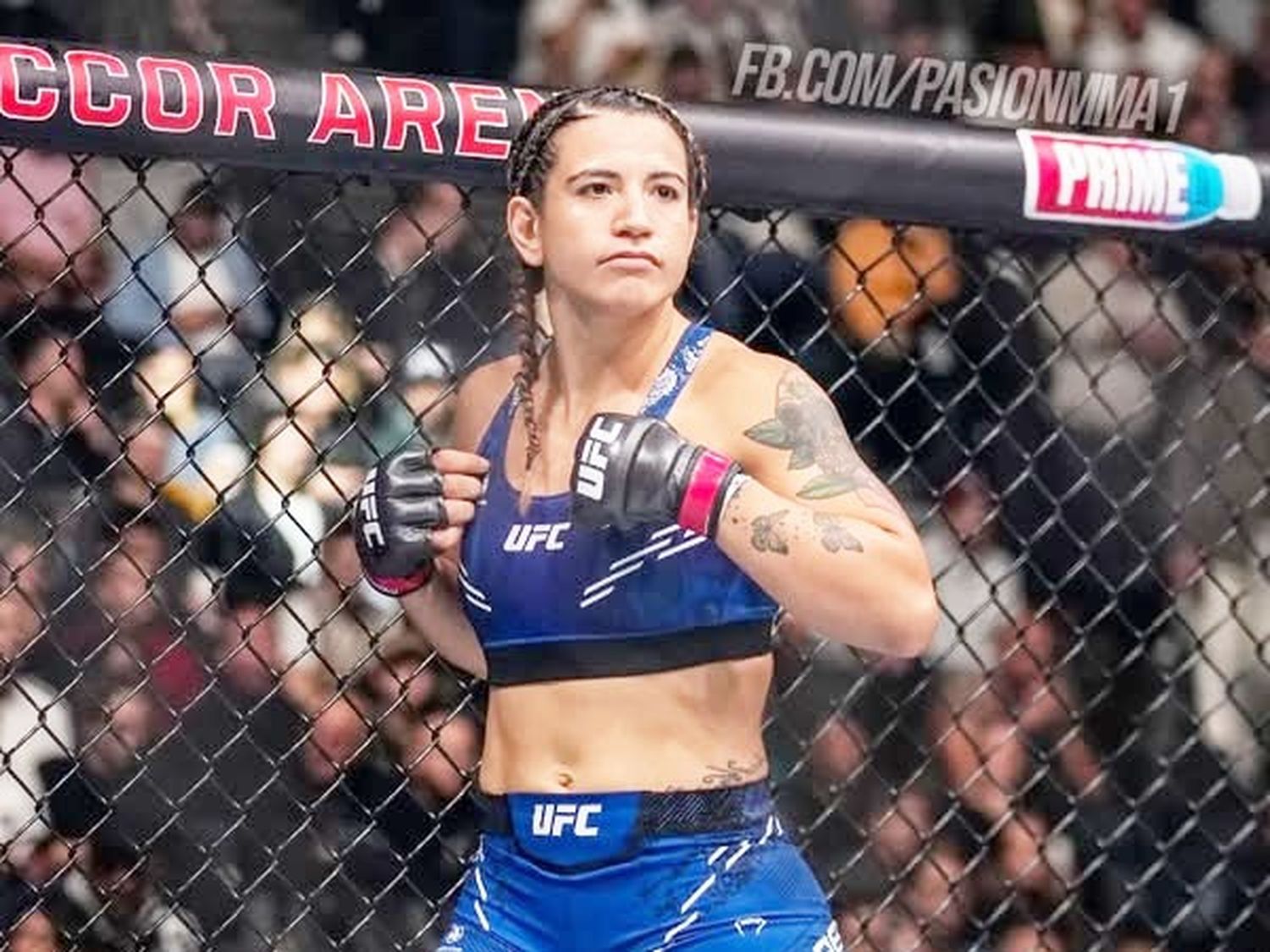 Presencia concordiense en el octágono de la UFC: Ailin Pérez se enfrenta a Karol Rosa