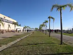 Coronavirus: 5 nuevos positivos en Gualeguay