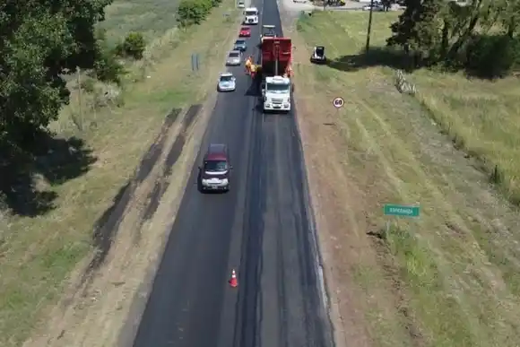 Plantarán más de 1.500 árboles en la “Ruta Segura”