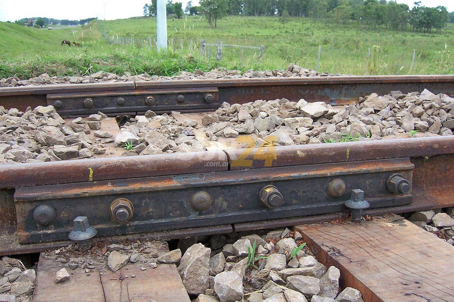 Robaron parte de vías férreas en Venado Tuerto