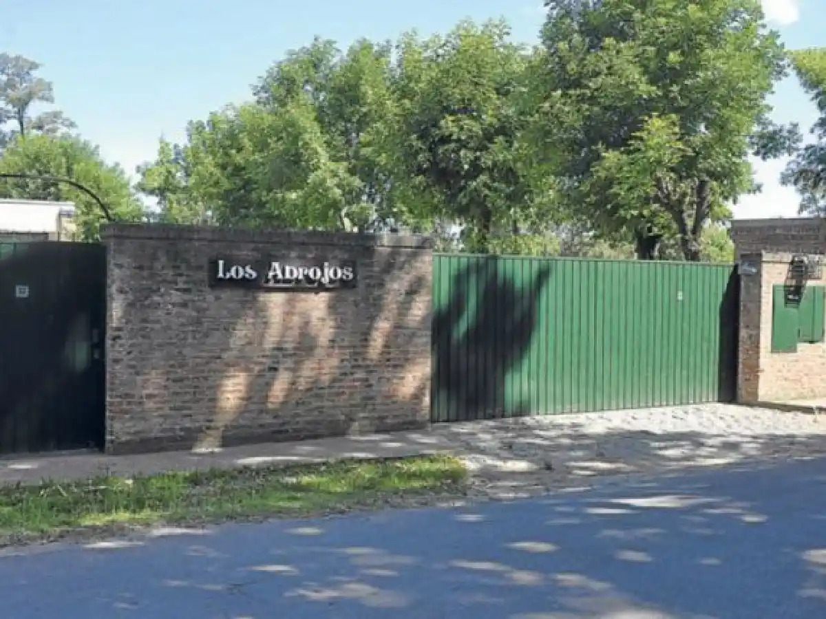 Cuatro personas rompieron el cerco de seguridad de la quinta presidencial y fueron detenidos