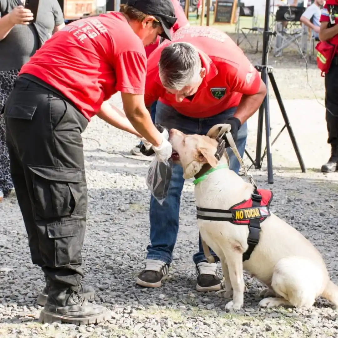 Importante capacitación y convenio realizados por la Asociación K9