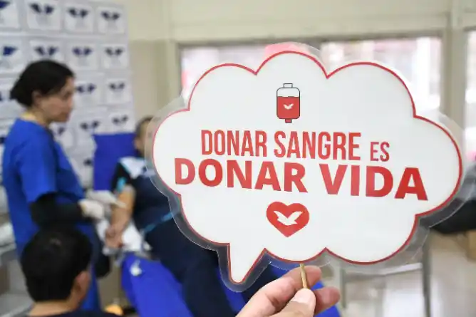 Exitosa jornada externa de donación de sangre en Chascomús