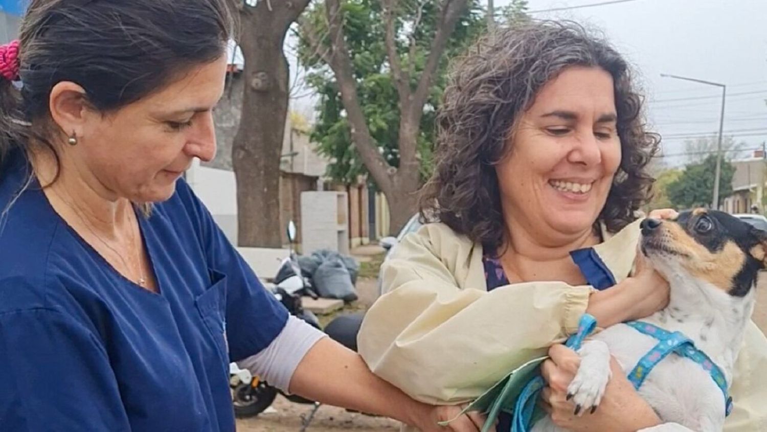 El Municipio prestará servicios de salud animal con el nuevo quirófano móvil