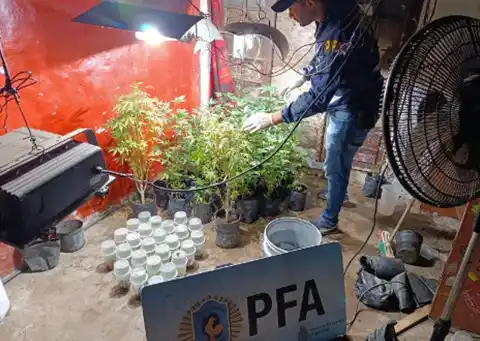 El operativo culminó con la detención de un hombre y la notificación de formación de causa a otro involucrado.