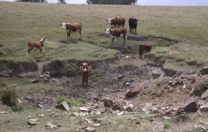 Prevén “una de las peores sequías de las últimas décadas” en Argentina