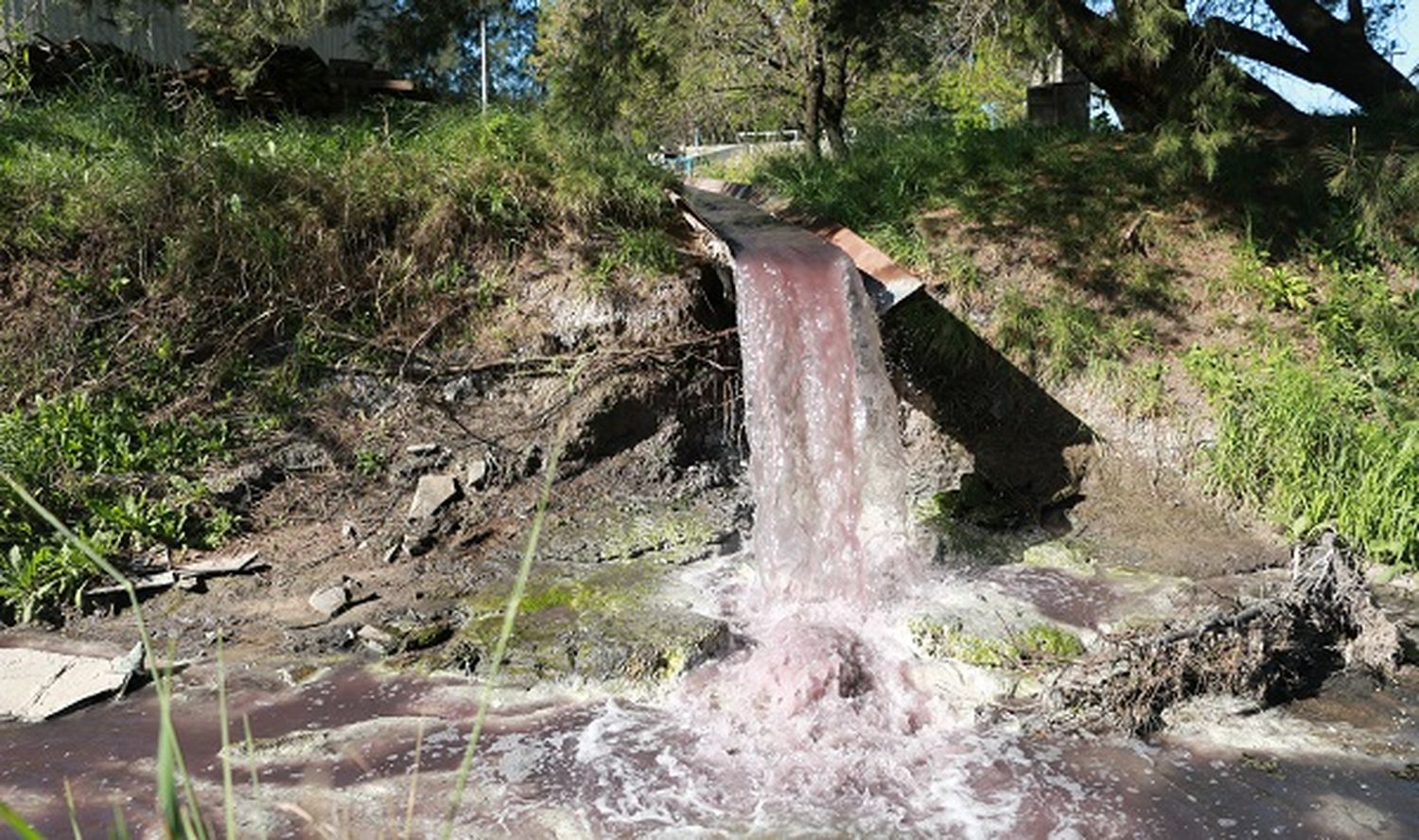 Barrio Don Pedro: Contaminados por los efluentes del Parque