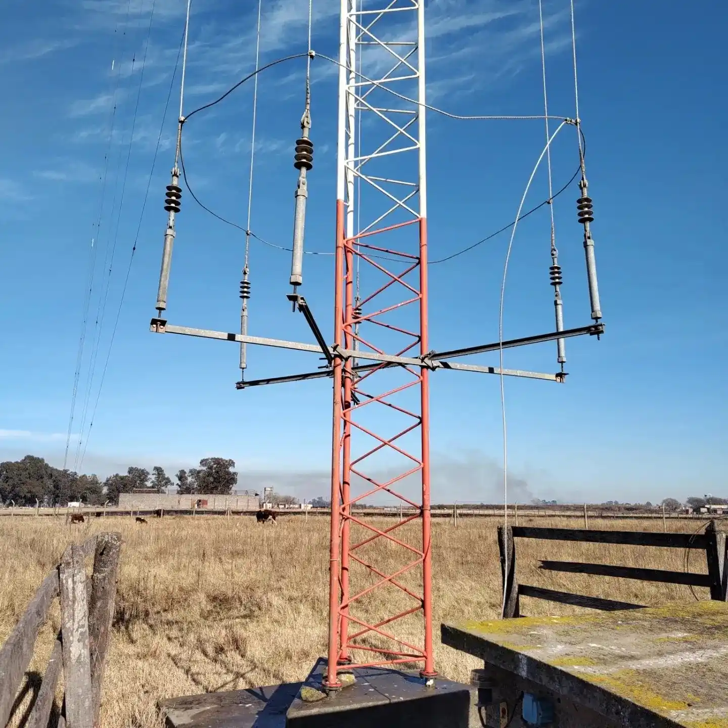 La caseta ubicada en el barrio Juan XXIII fue víctima del accionar de los delincuentes.