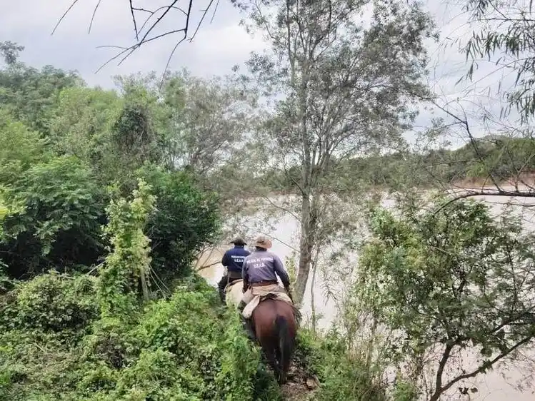 Se registraron menos casos de abigeato y mayor
cantidad de animales vacunos recuperados
