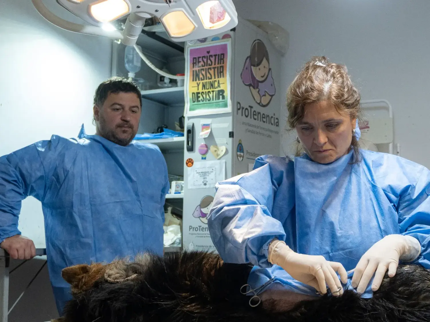 Además de las castraciones se entregaron antiparasitarios y se aplicaron vacunas antirrábicas