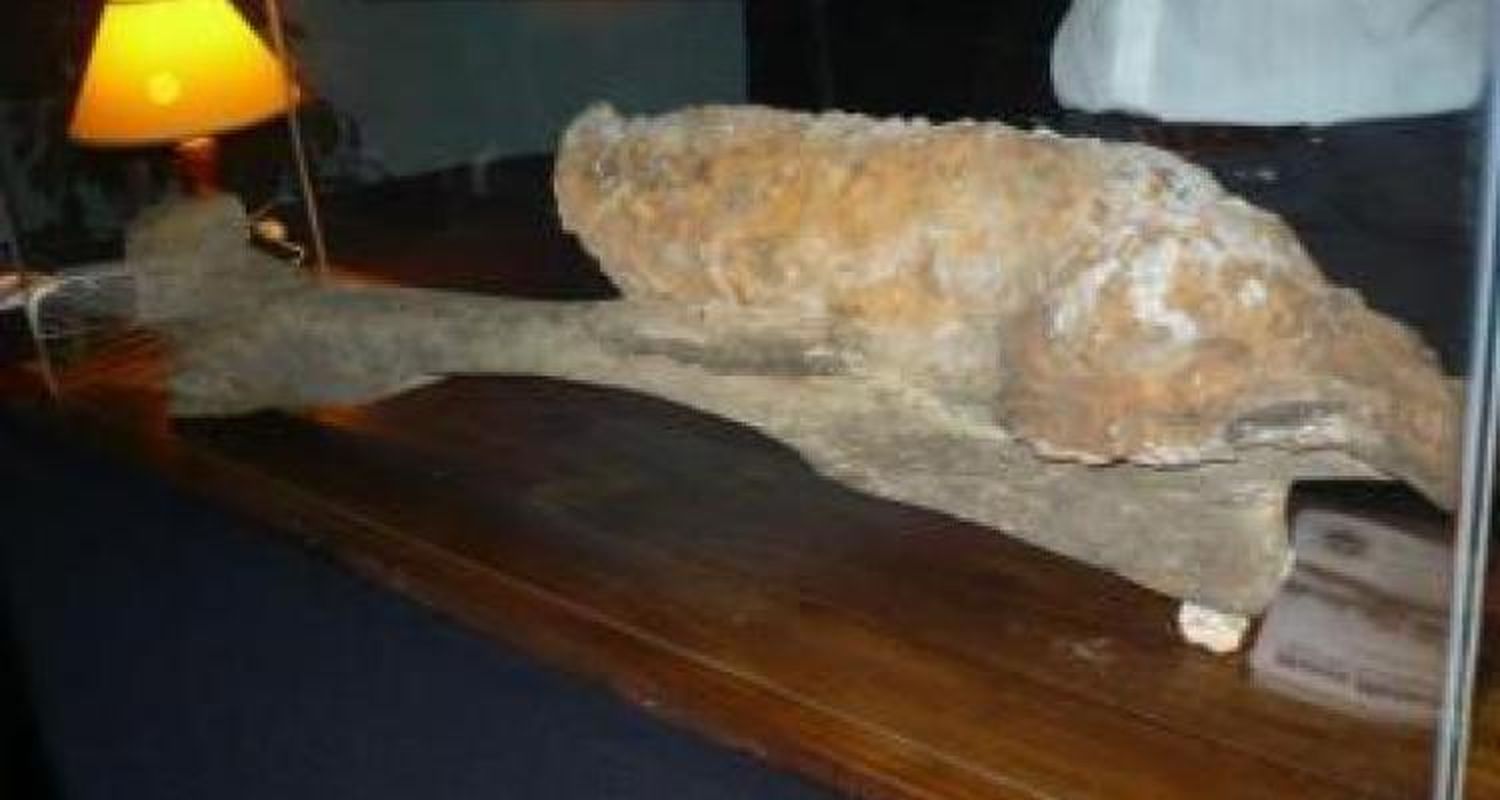 Cañón de pequeño calibre