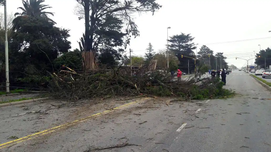 El servicio eléctrico se normalizará el miércoles