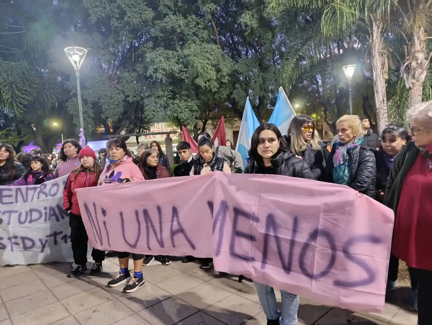 A 11 años del primer Ni Una Menos, miles de personas volvieron a movilizarse en toda la provincia de Buenos Aires