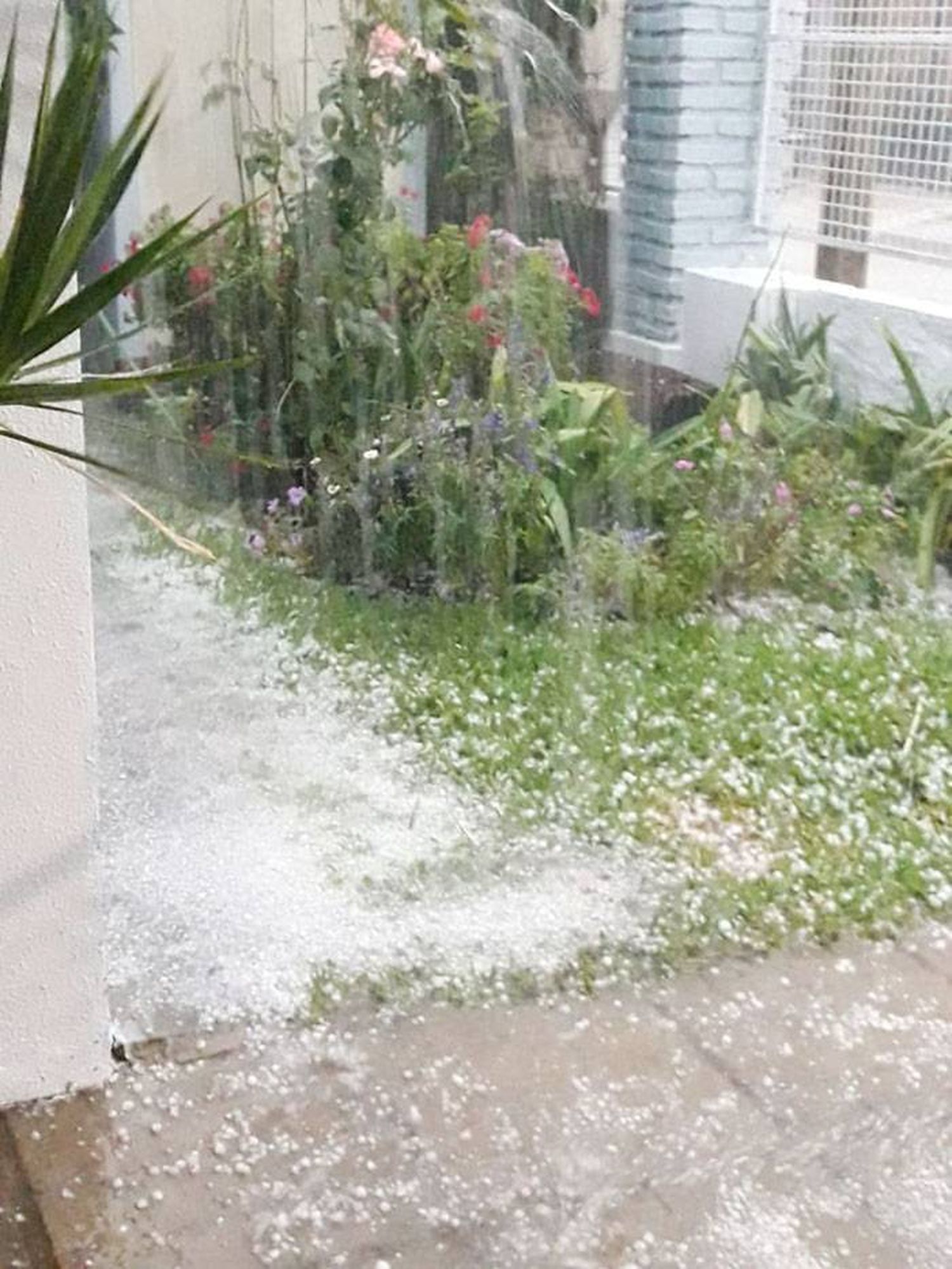 Sábado por la mañana lluvia y piedras en la ciudad 